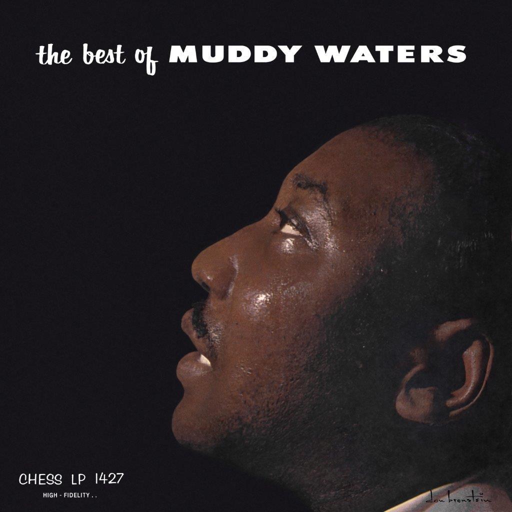 Muddy Waters - The Best of Muddy Waters Vinyl LP Reissue