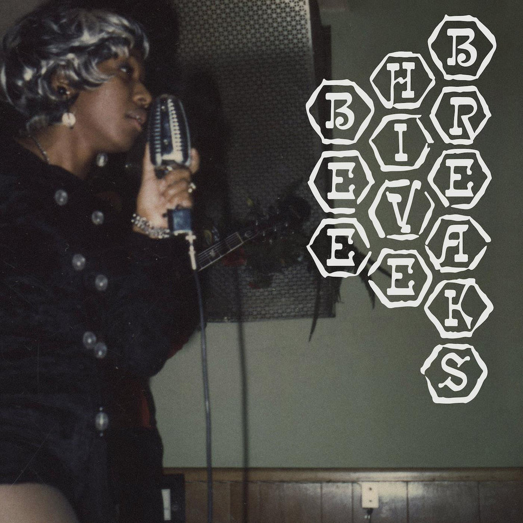 Beehive Breaks - V/A