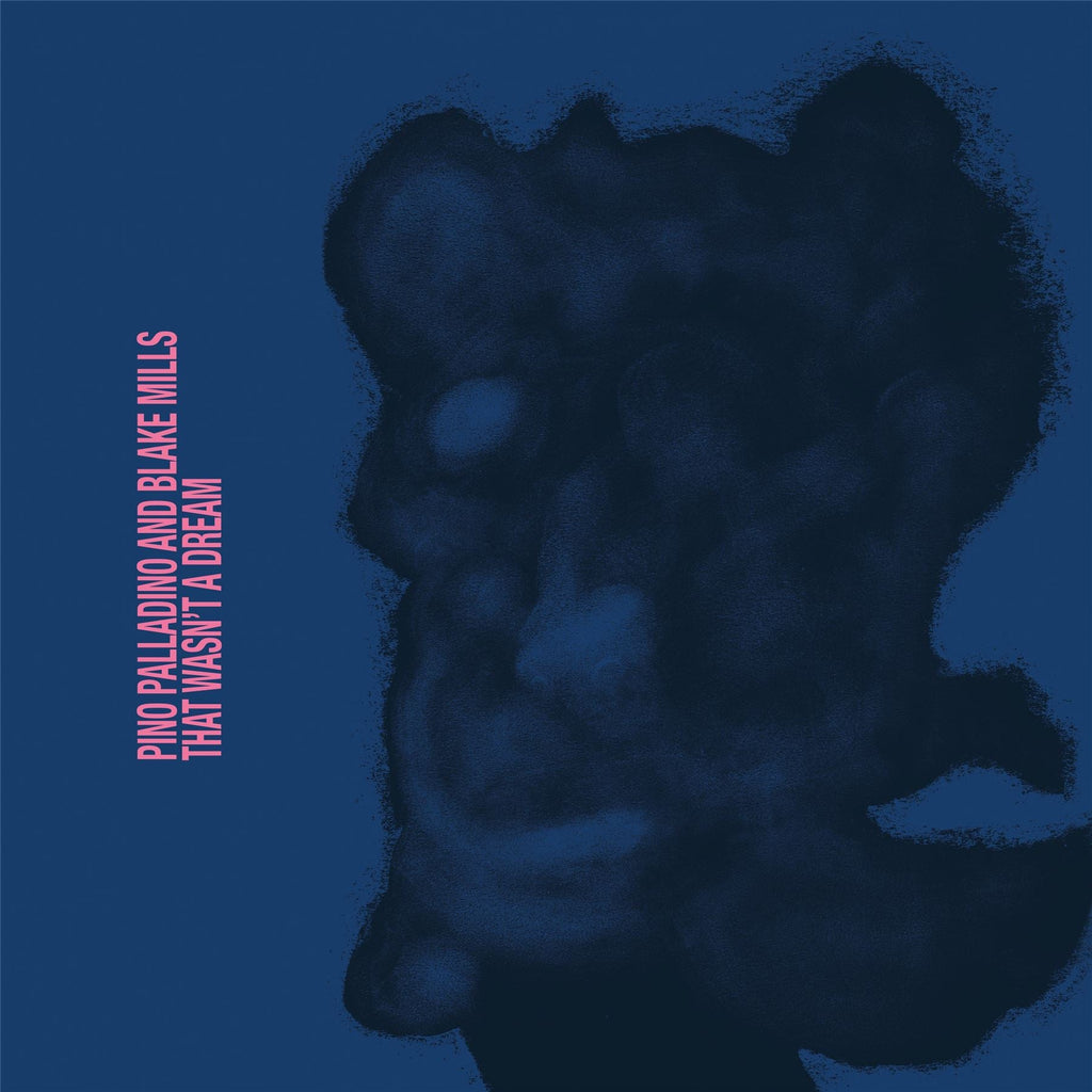 Pino Palladino & Blake Mills - That Wasn't a Dream